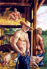 Cowboys 31